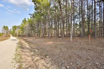 450 Williamson Way Way, Lovelady, TX 75851 - Photo 5