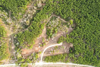 450 Williamson Way Way, Lovelady, TX 75851 - Photo 17