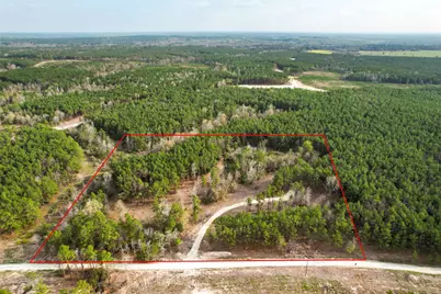 450 Williamson Way Way, Lovelady, TX 75851 - Photo 11