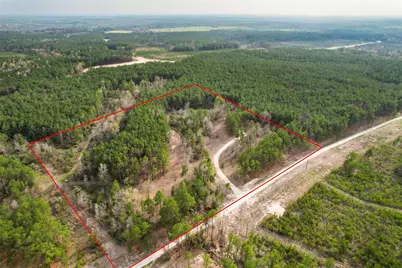 450 Williamson Way Way, Lovelady, TX 75851 - Photo 13