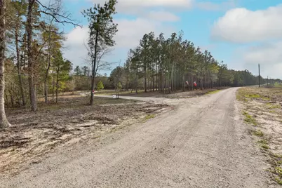 450 Williamson Way Way, Lovelady, TX 75851 - Photo 7