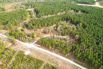 450 Williamson Way Way, Lovelady, TX 75851 - Photo 19
