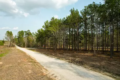 450 Williamson Way Way, Lovelady, TX 75851 - Photo 23