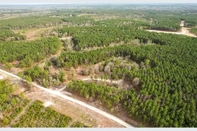 450 Williamson Way Way, Lovelady, TX 75851 - Photo 17