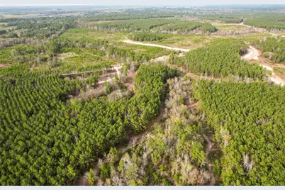 450 Williamson Way Way, Lovelady, TX 75851 - Photo 15