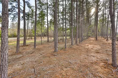 450 Williamson Way Way, Lovelady, TX 75851 - Photo 9