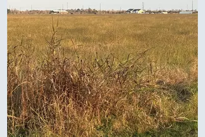 40 Acres County Road 45, Angleton, TX 77515 - Photo 3