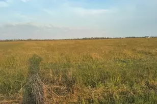 40 Acres County Road 45, Angleton, TX 77515 - Photo 1