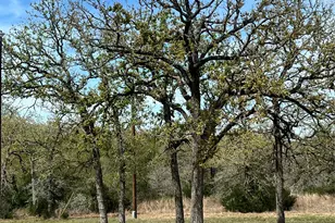 5610 Private Rd 4015, Somerville, TX 77879 - Photo 21