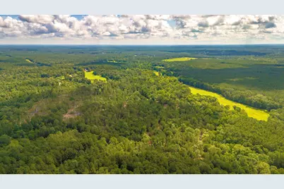 Tbd Lot 001 Holland Road, Moscow, TX 75960 - Photo 7