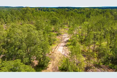 Tbd Lot 001 Holland Road, Moscow, TX 75960 - Photo 3