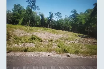 10821 Fm 1409, Dayton, TX 77535 - Photo 3