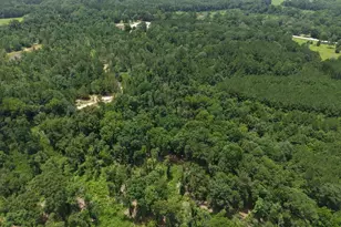 3088 County Road 2565 N, Chester, TX 75979 - Photo 23