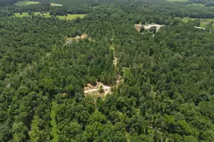 3088 County Road 2565 N, Chester, TX 75979 - Photo 17