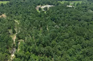 3088 County Road 2565 N, Chester, TX 75979 - Photo 29