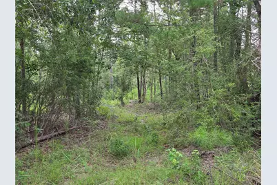 3088 County Road 2565 N, Chester, TX 75979 - Photo 13