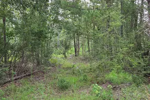 3088 County Road 2565 N, Chester, TX 75979 - Photo 13