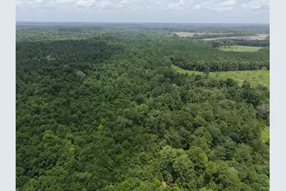 3088 County Road 2565 N, Chester, TX 75979 - Photo 19
