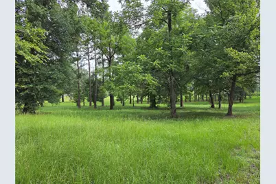 3088 County Road 2565 N, Chester, TX 75979 - Photo 3