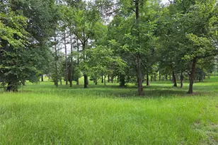 3088 County Road 2565 N, Chester, TX 75979 - Photo 3