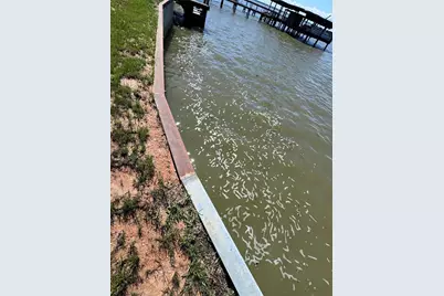 108 Javelina Street, Onalaska, TX 77360 - Photo 1