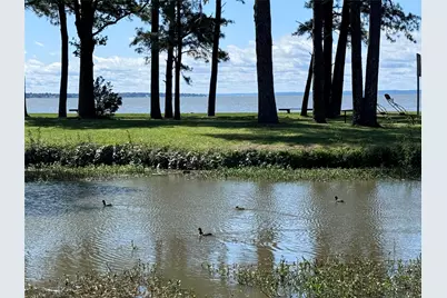 108 Javelina Street, Onalaska, TX 77360 - Photo 23