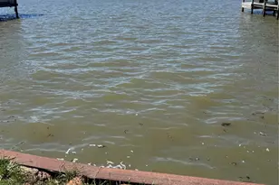 108 Javelina St, Onalaska, TX 77360 - Photo 1