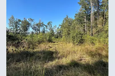 Lot 16 County Road 2235, Cleveland, TX 77328 - Photo 1