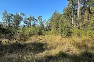 Lot 16 County Road 2235, Cleveland, TX 77328 - Photo 1