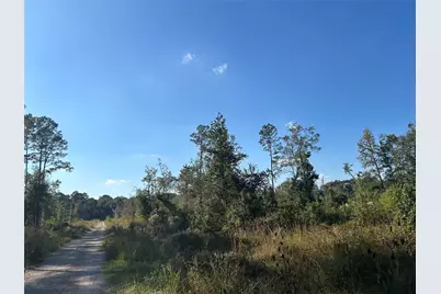 Lot 16 County Road 2235, Cleveland, TX 77328 - Photo 3