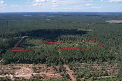 Lot 16 County Road 2235, Cleveland, TX 77328 - Photo 5