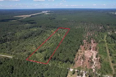 Lot 16 County Road 2235, Cleveland, TX 77328 - Photo 7