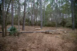 16438 Grand Flower Rd, Plantersville, TX 77363 - Photo 5