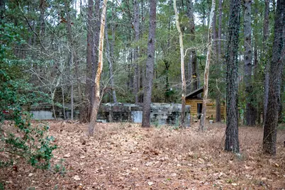 16438 Grand Flower Road, Plantersville, TX 77363 - Photo 7