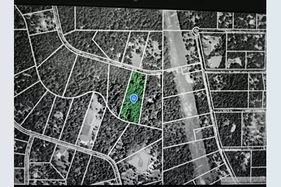 16438 Grand Flower Road, Plantersville, TX 77363 - Photo 29