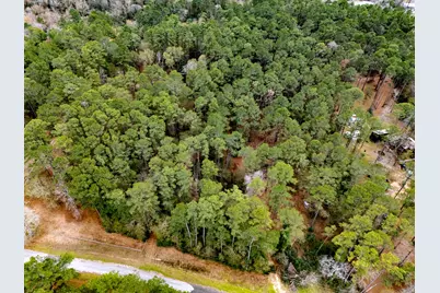 16438 Grand Flower Road, Plantersville, TX 77363 - Photo 9