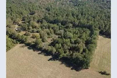 695 County Road 3350, Crockett, TX 75835 - Photo 7