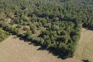 695 Co Rd 3350, Crockett, TX 75835 - Photo 7