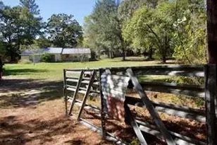 695 Co Rd 3350, Crockett, TX 75835 - Photo 9