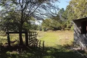 695 Co Rd 3350, Crockett, TX 75835 - Photo 15