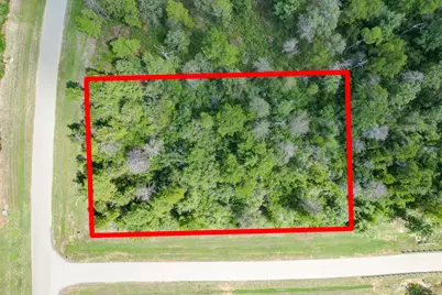 10692 Ruger Road, Willis, TX 77378 - Photo 1