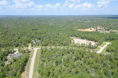 10692 Ruger Road, Willis, TX 77378 - Photo 13