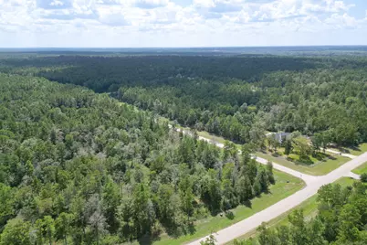 10692 Ruger Road, Willis, TX 77378 - Photo 9