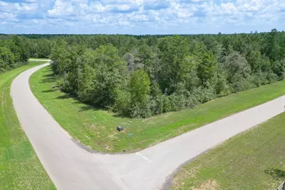10692 Ruger Road, Willis, TX 77378 - Photo 5