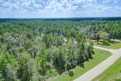 10692 Ruger Road, Willis, TX 77378 - Photo 21