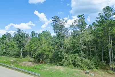 10692 Ruger Road, Willis, TX 77378 - Photo 23