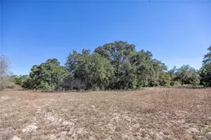 3550 Co Rd 387, Hallettsville, TX 77964 - Photo 17