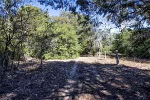 3550 Co Rd 387, Hallettsville, TX 77964 - Photo 5