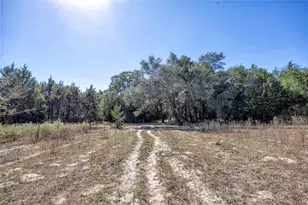 3550 Co Rd 387, Hallettsville, TX 77964 - Photo 15