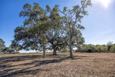 3550 County Road 387, Hallettsville, TX 77964 - Photo 9